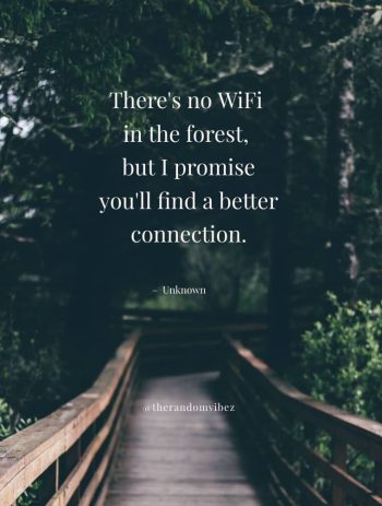 nature quote