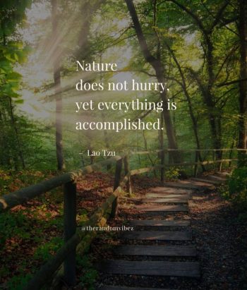 nature quotes