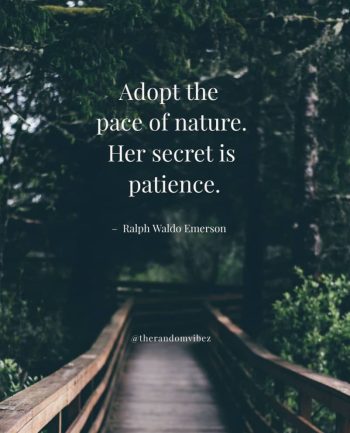 quotes about nature