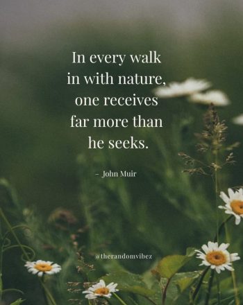 quotes on nature