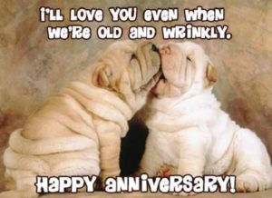 Funny Anniversary Quotes