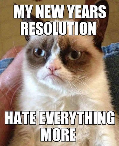 Cat Memes for New Year Resolutions