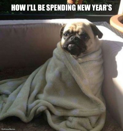 Dog New Year Memes