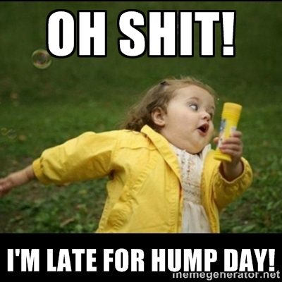 Funniest Hump day meme