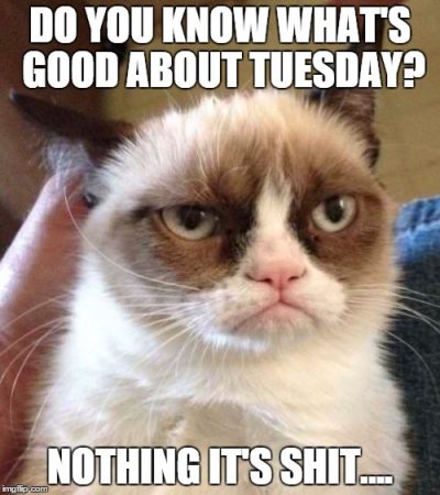 Funny Meme on Tuesday