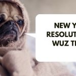 Funny Resolutions for New Year
