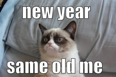 Grumpy Cat Meme