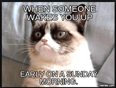 Grumpy Cat Sunday Memes