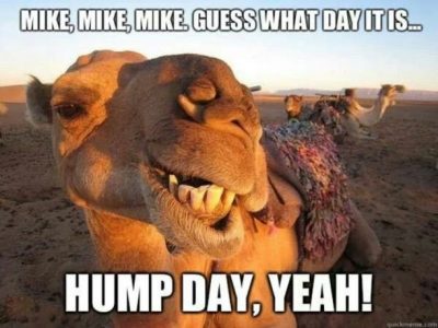 Guess What day it is hump day meme