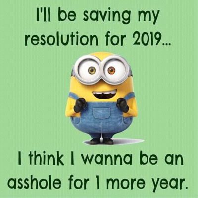 Hilarious New Year's Resolution Quotes