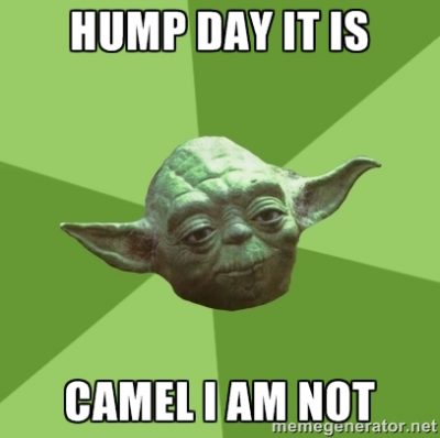 Hump Day Meme Images