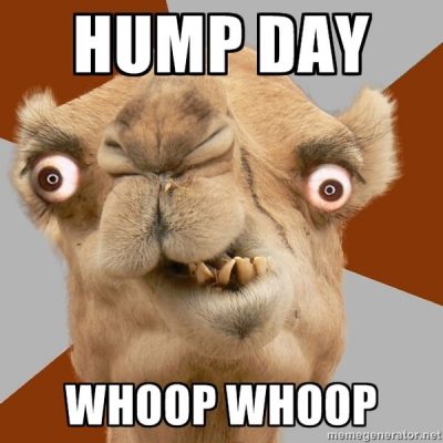 Hump Day Wednesday Pics