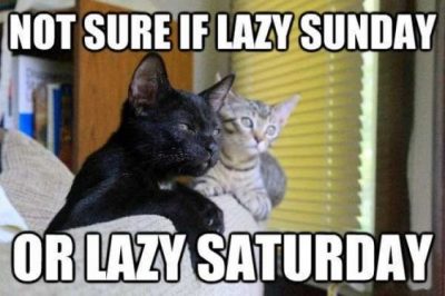 Lazy Saturday Memes