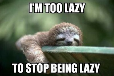 Lazy Sunday Memes