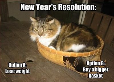 New Year Memes On Diet