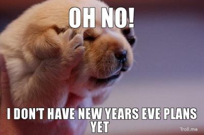 New Year Memes On Dogs