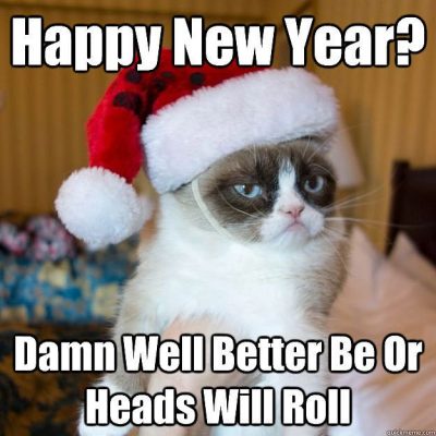 New Year Memes on Cat