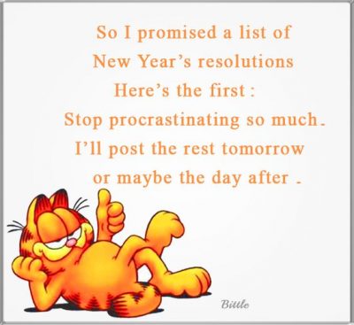 New Year Resolution Joke Quotes