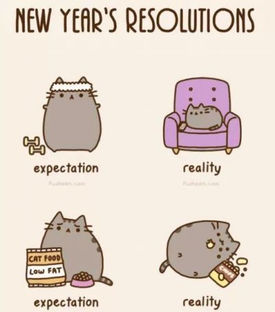 New Year Resolutions Funny