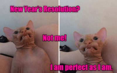 New Year's Resolution Funny