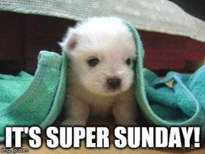 Puppy Sunday Memes