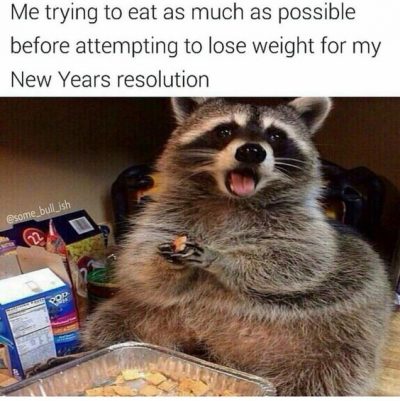 Sarcastic New Year's Resolution Meme