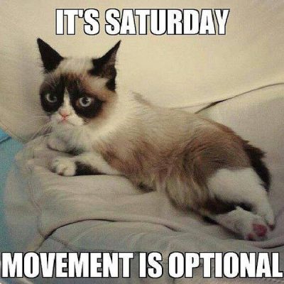 Saturday Cat Memes