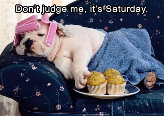90 Funny Saturday Memes, Images & Pics for a Happy Weekend