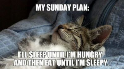 Sleepy Sunday Memes