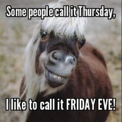 Thursday Animal Meme