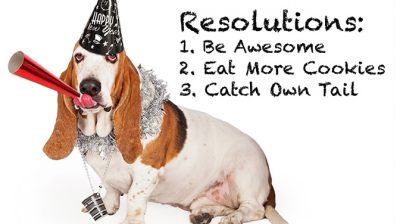 funny New Year's Resolution