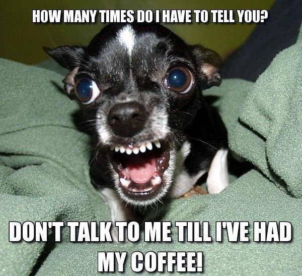 80 Good Morning Coffee Memes Images To Kick Start Your Day