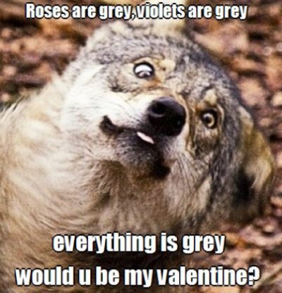 Animal Valentine Day's Meme