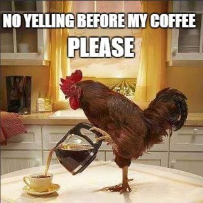 80 Good Morning Coffee Memes Images To Kick Start Your Day