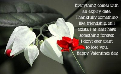 Cute Sayings For Friends On Valentine Day