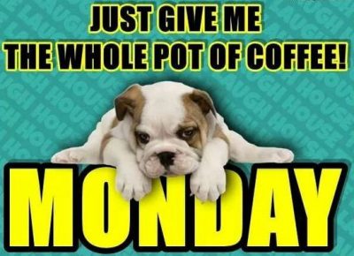 Dog Memes On Monday Coffee