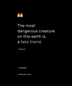 Fake Friends Sayings 1