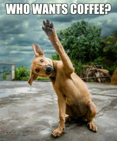 Funny Coffee Memes