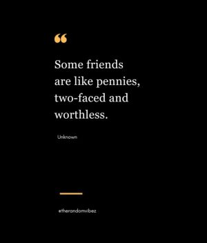 Funny Quotes on Fake Friends