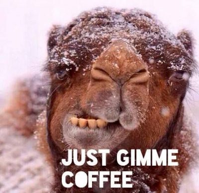 Funny Wednesday Coffee Meme