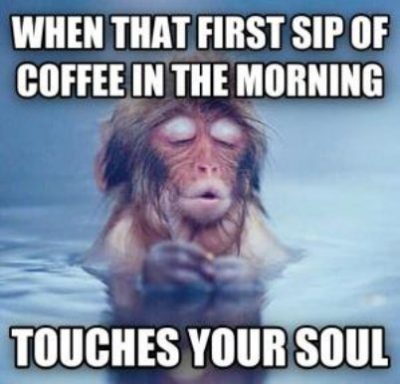 Good Morning Coffee Meme Funny
