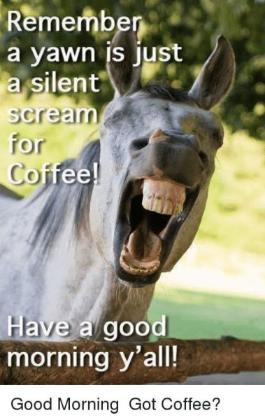 Good Morning Coffee Meme Pictures