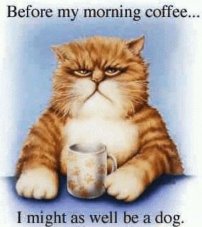 Good Morning Coffee Meme With Images