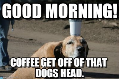 Good Morning Dog & Coffee Memes