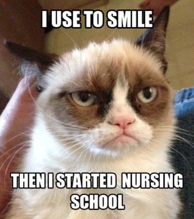 Grumpy Cat Nursing School Meme