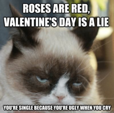 Happy Valentines Day Meme