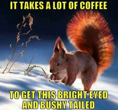 Hilarious Wednesday Coffee Meme