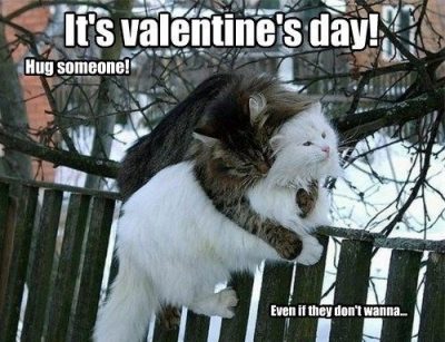 Hug Memes For Valentines Day