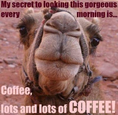 Humorous Wednesday Coffee Meme