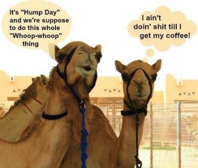 Hump Day Coffee Meme